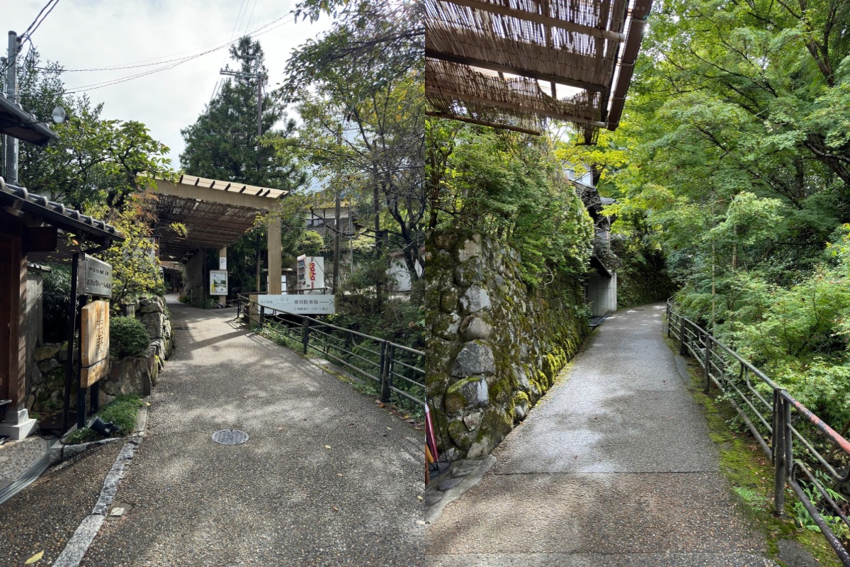 교토 오하라 산젠인 ❘ 계절마다 다른 풍경을 품은 천년 고찰