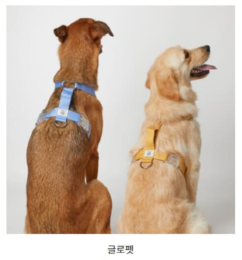 2024 크리스마스 서울 펫쇼 사전등록 입장료 주차 안내