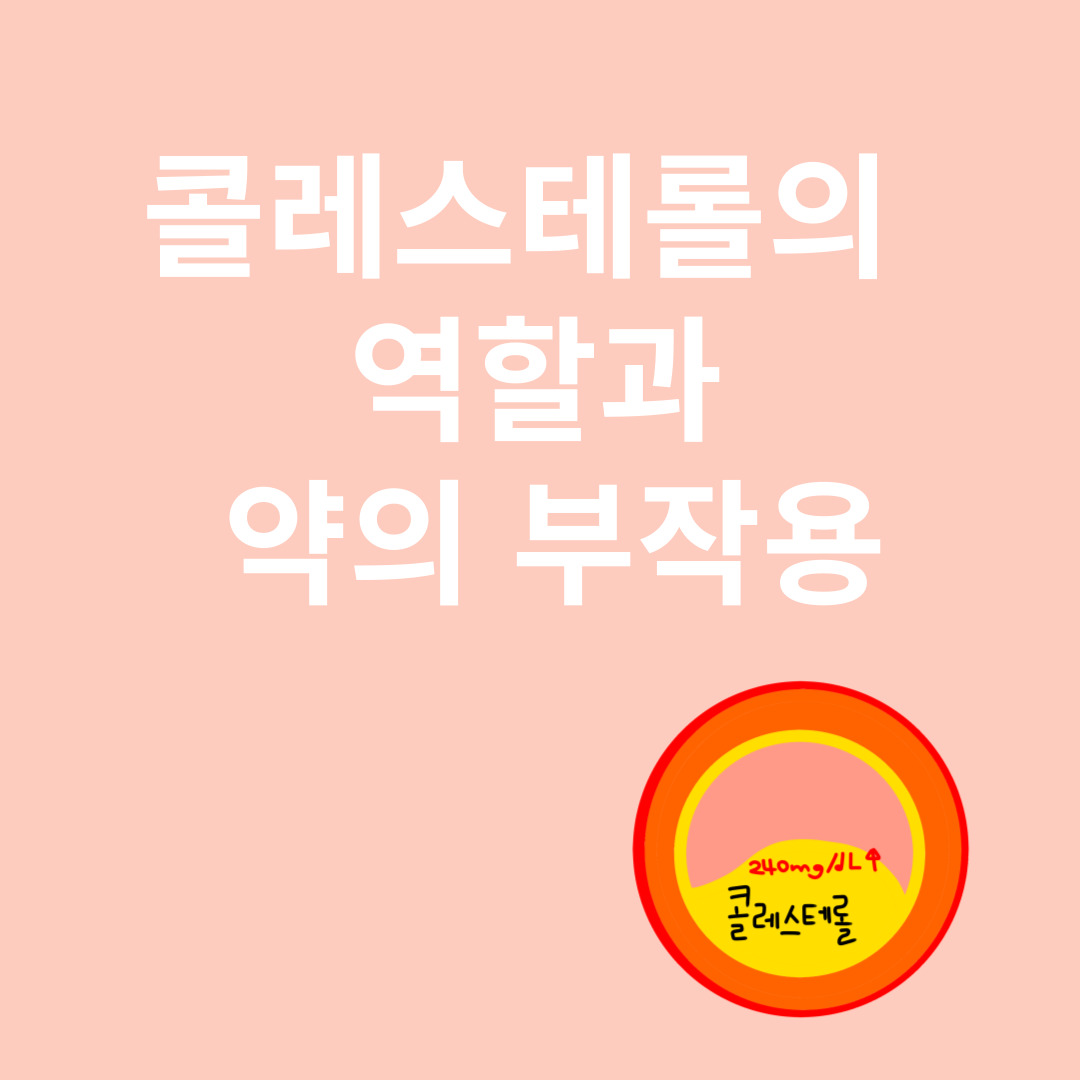 콜레스테롤과 관련된 이미지