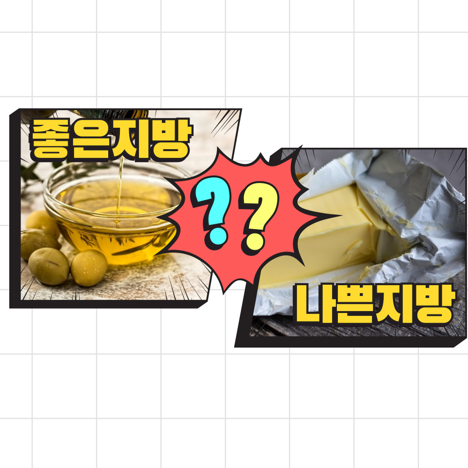 좋은 지방 vs 나쁜 지방 – 올리브오일은 어디에 속할까?