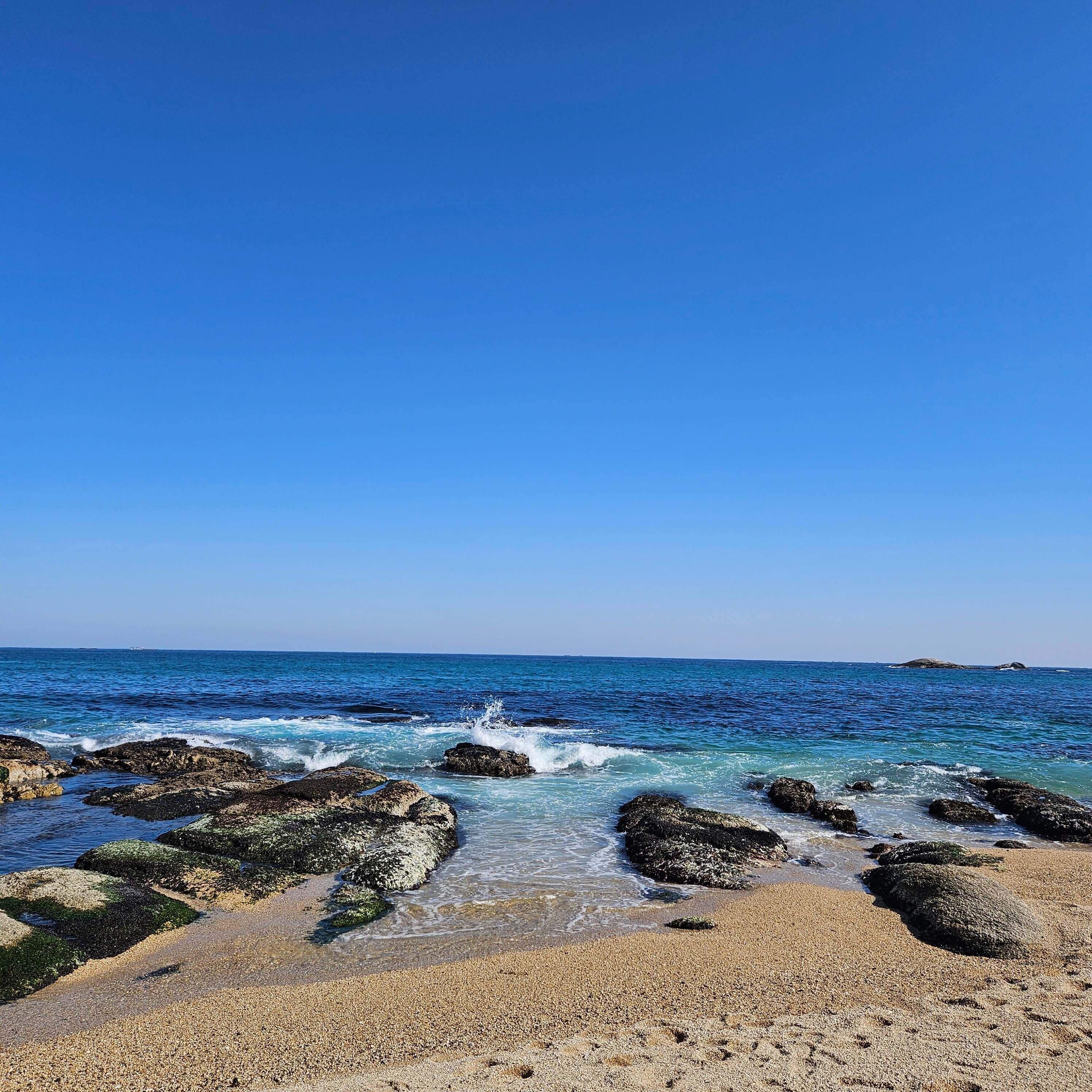 퇴직연금이란? 기초부터 알아보는 퇴직연금의 모든 것
