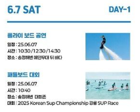 강릉해양레저 펫가족 힐링페스티벌