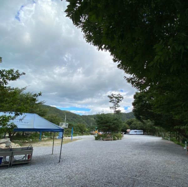 엉클캠핑장_사이트