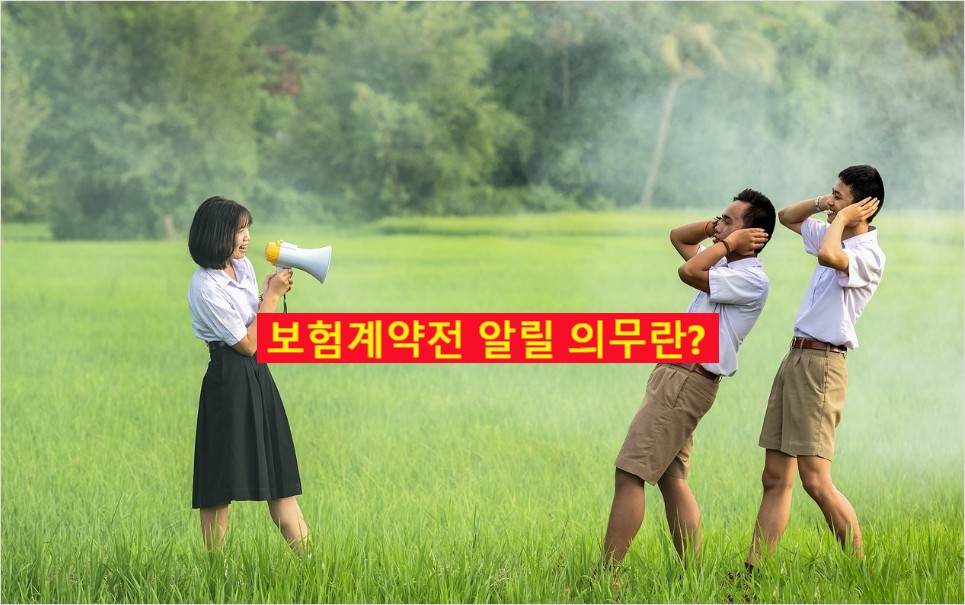 보험계약 전 상대가 알아야할 항목 알려주는 모습