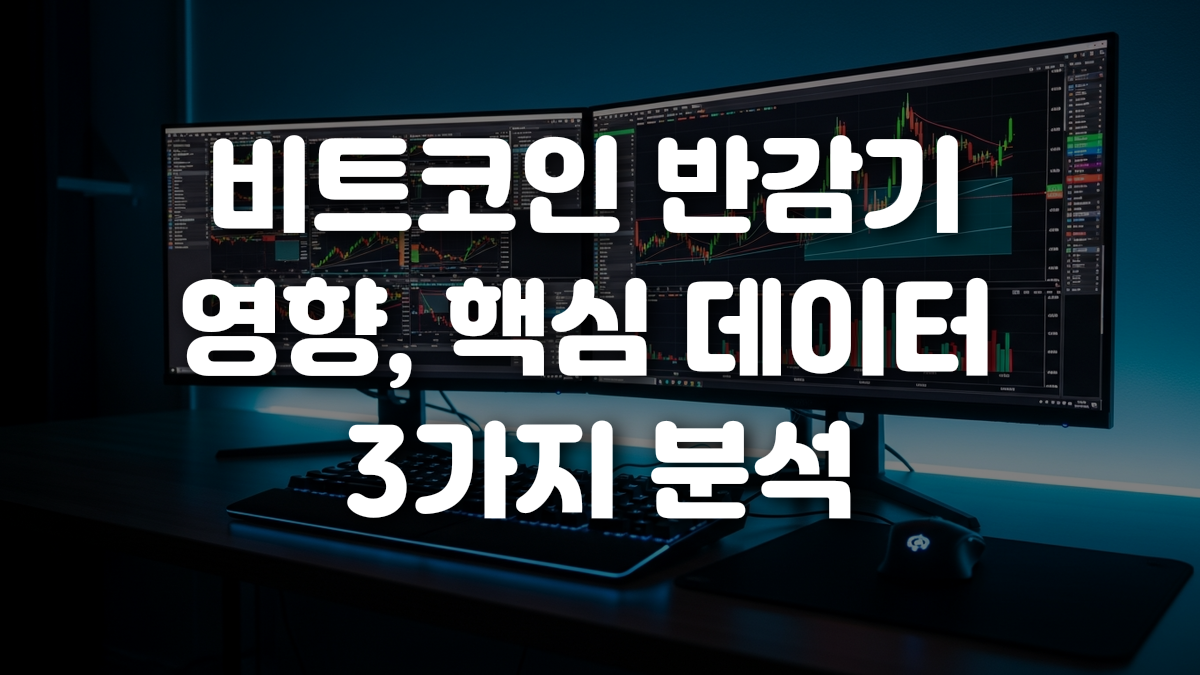 비트코인 반감기 영향 핵심 데이터 3가지 분석