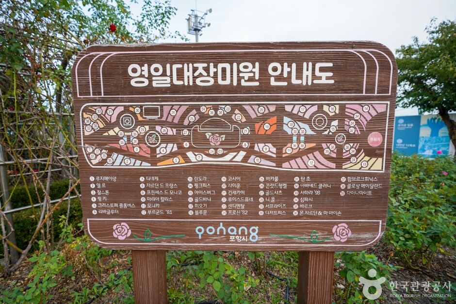 영일대 장미원