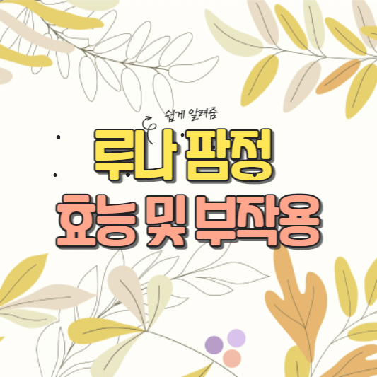 루나팜정 효능 및 부작용