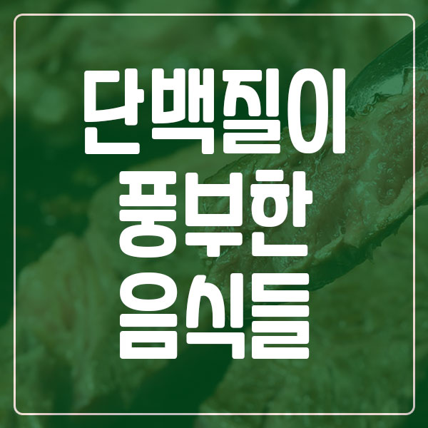 단백질이 풍부한 음식과 효능