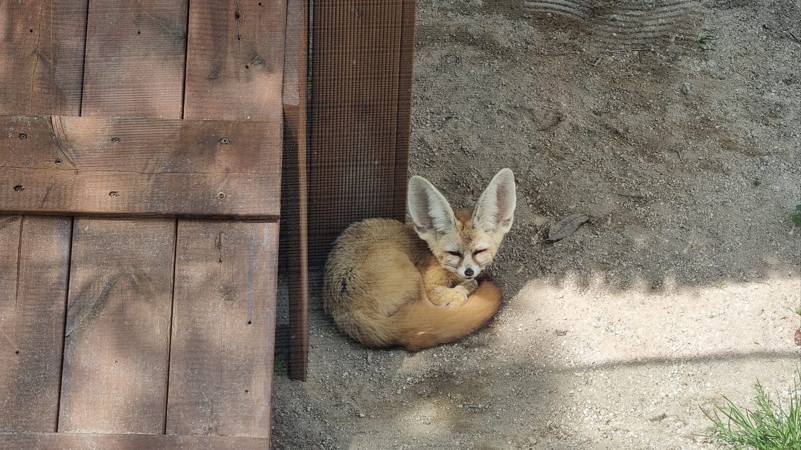 순천만국가정원 서문 동물원