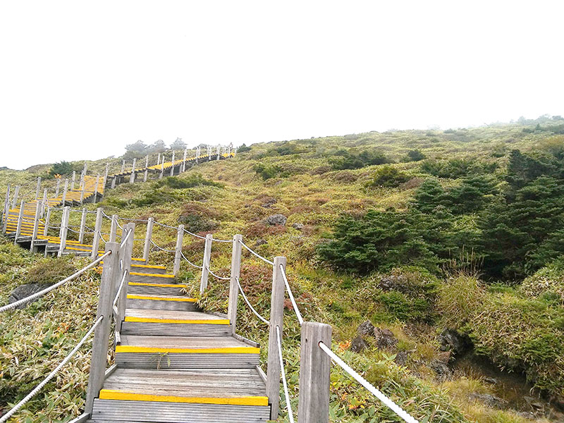 한라산 돈내코탐방로