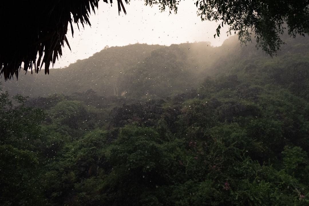 Rainfall