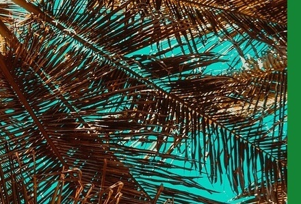 여름철건강관리