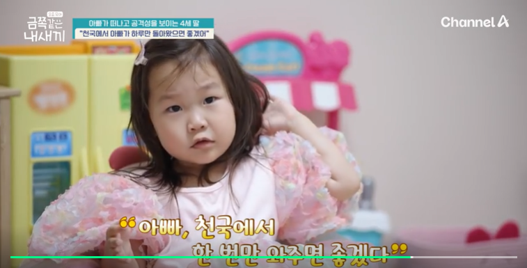 금쪽같은-내새끼-201회