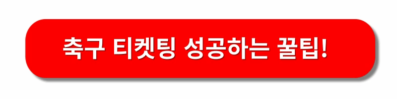축구-국가대표-11월-경기일정