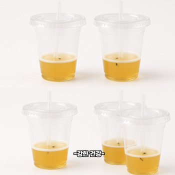 초파리 없애는 방법