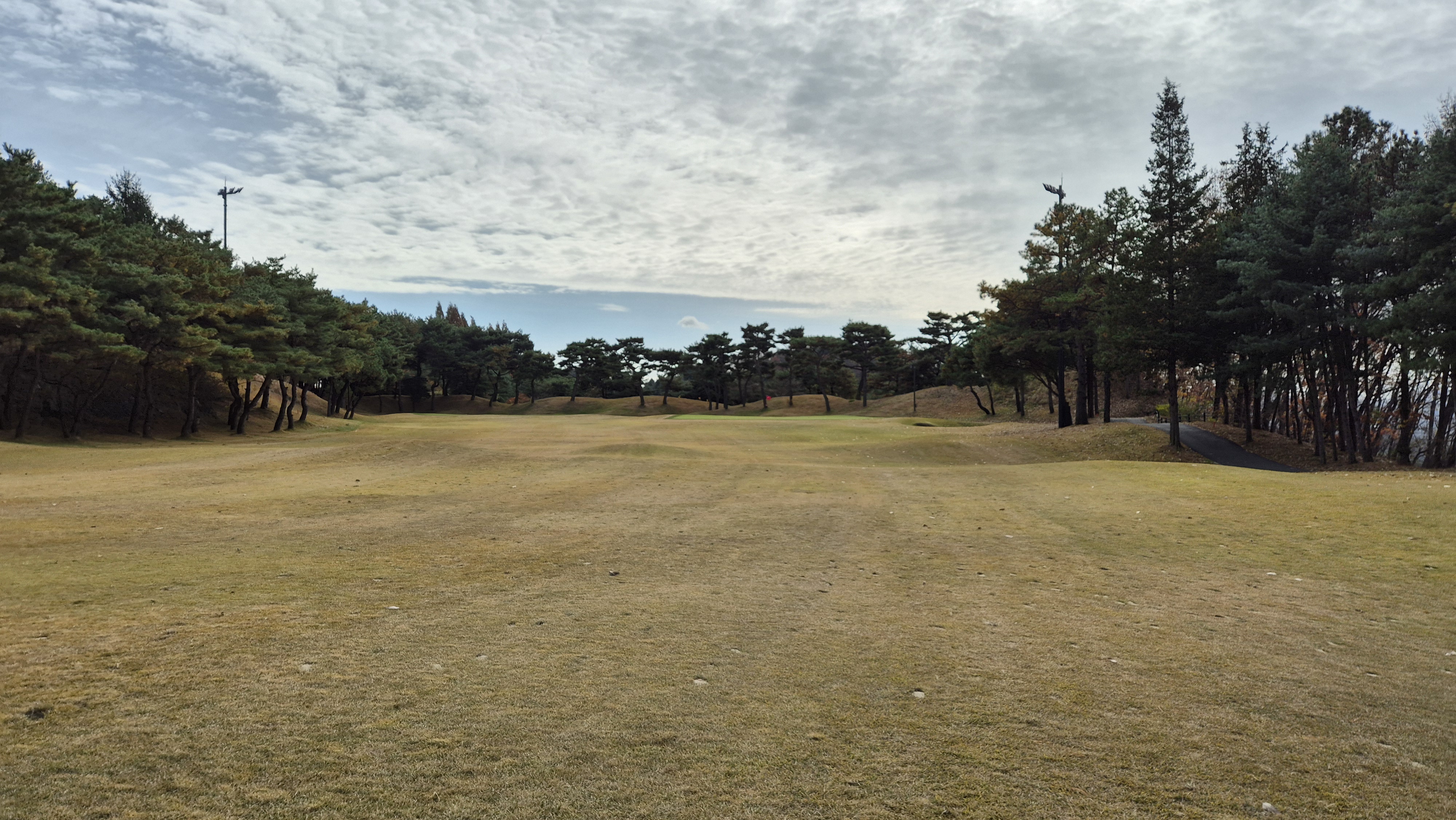 세종에머슨cc 마운틴코스 사진 및 공략 정보