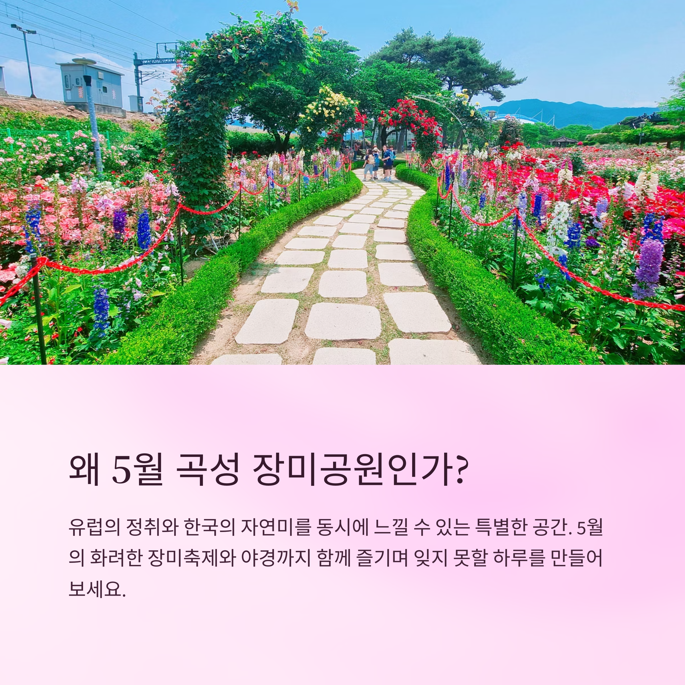 왜5월 곡성 장미공원 인가