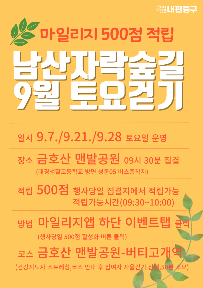 Alt 속성 문제 해결 설명 이미지