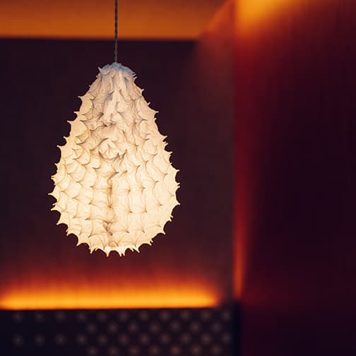 호시노 리조트 카이 벳푸