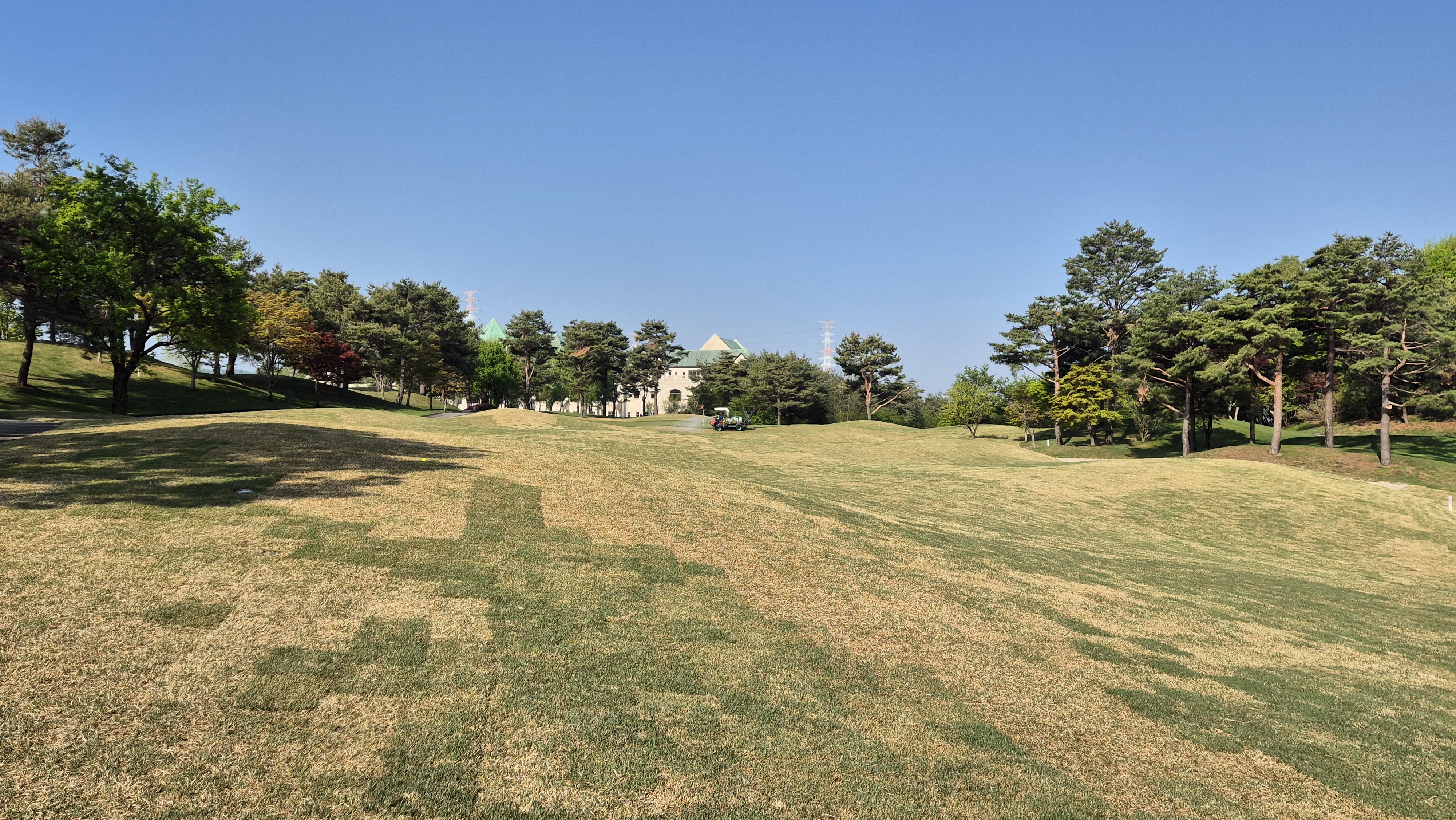 마에스트로cc 코스