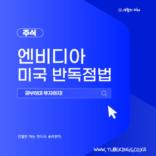 엔비디아 주가 급락과 미국 반독점법 분석