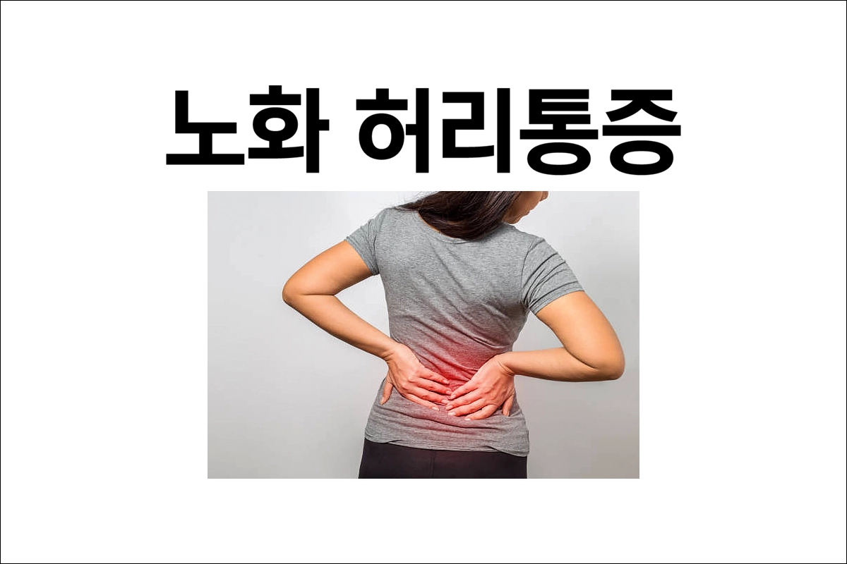 노화 허리통증 진통소염제의 중요성