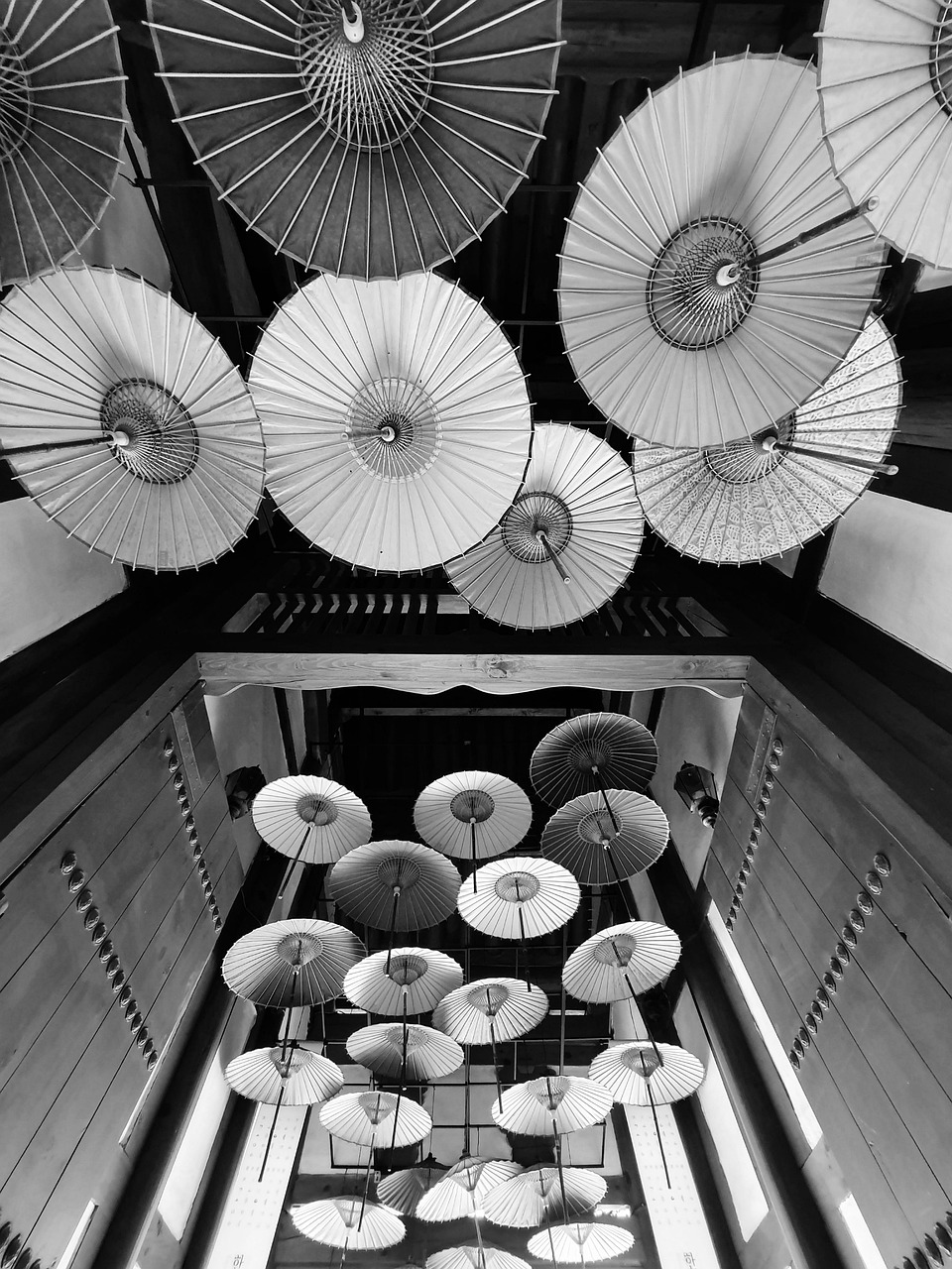 umbrella material 우산 소재