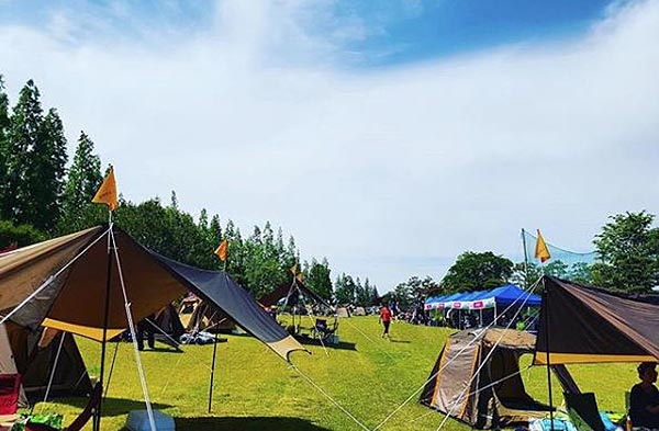 서산 잔디캠핑장 '삼원레저타운' 소개