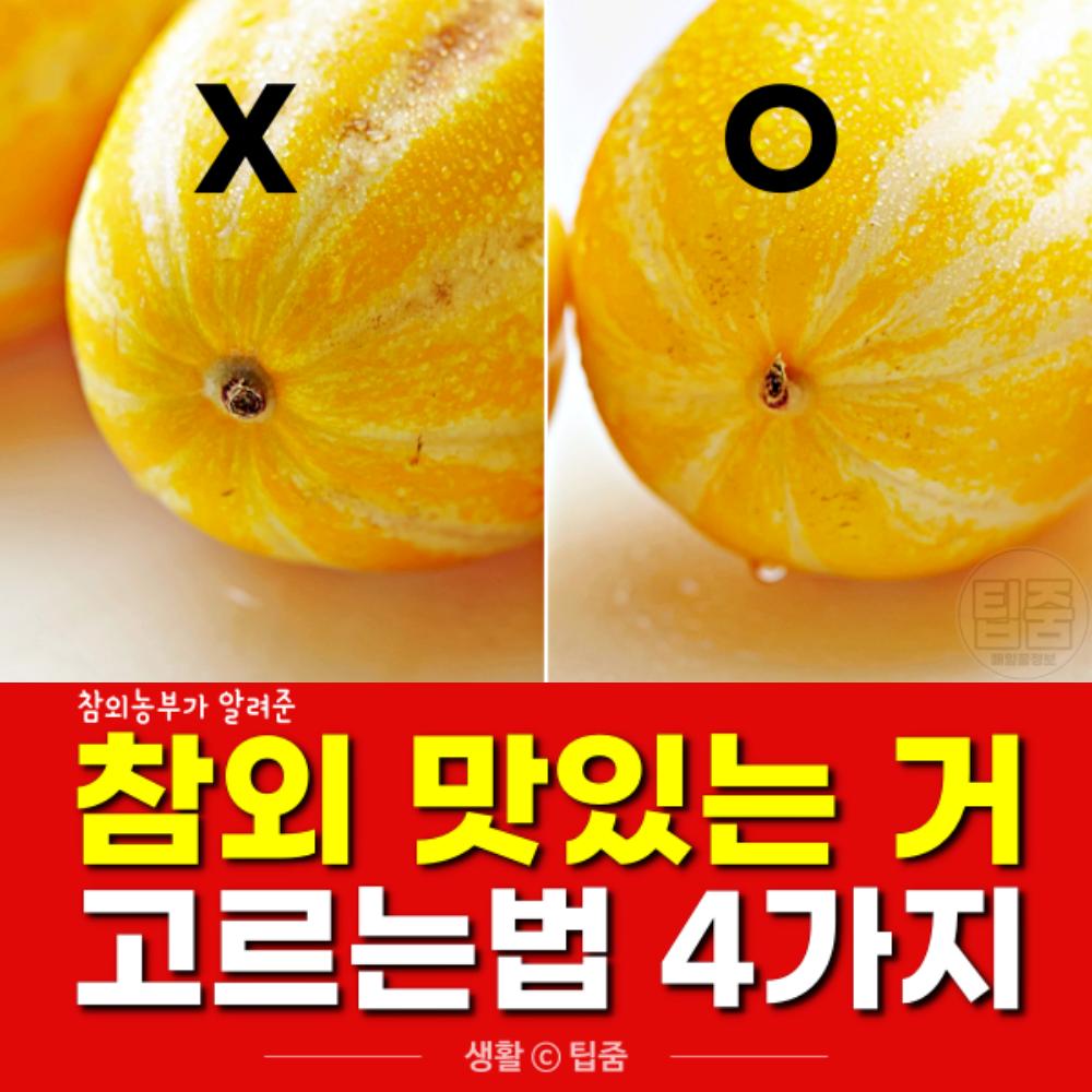 참외 맛있는거 고르는법,팁줌