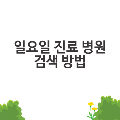 일요일 진료 병원 검색 방법