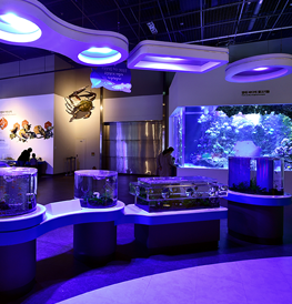 상설전시관 첨단기술관의 사진