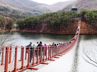 파주 시티투어 버스 예약