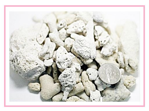 어항 바닥제 사용하는 이유