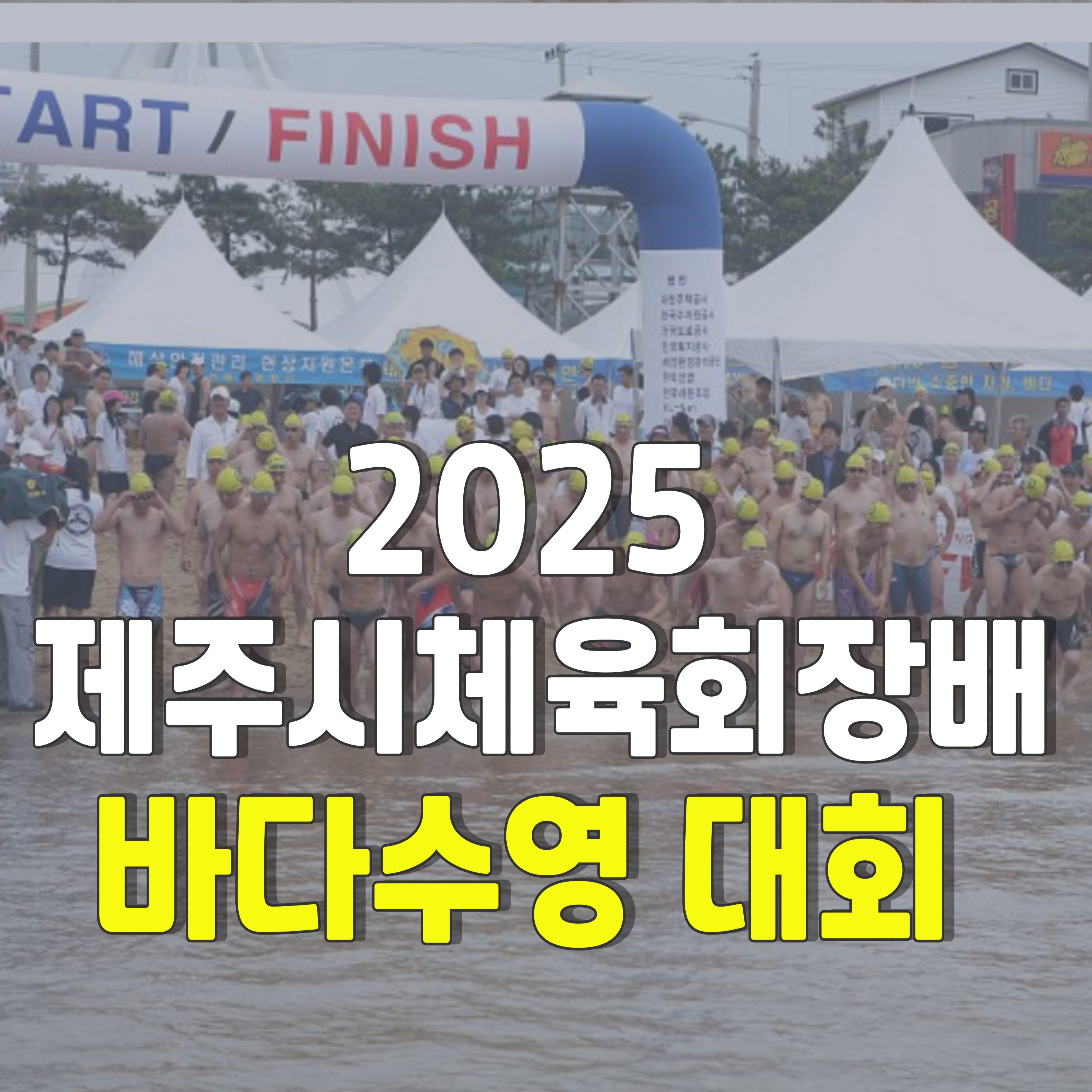 2025-제주시체육회장배-바다수영-1