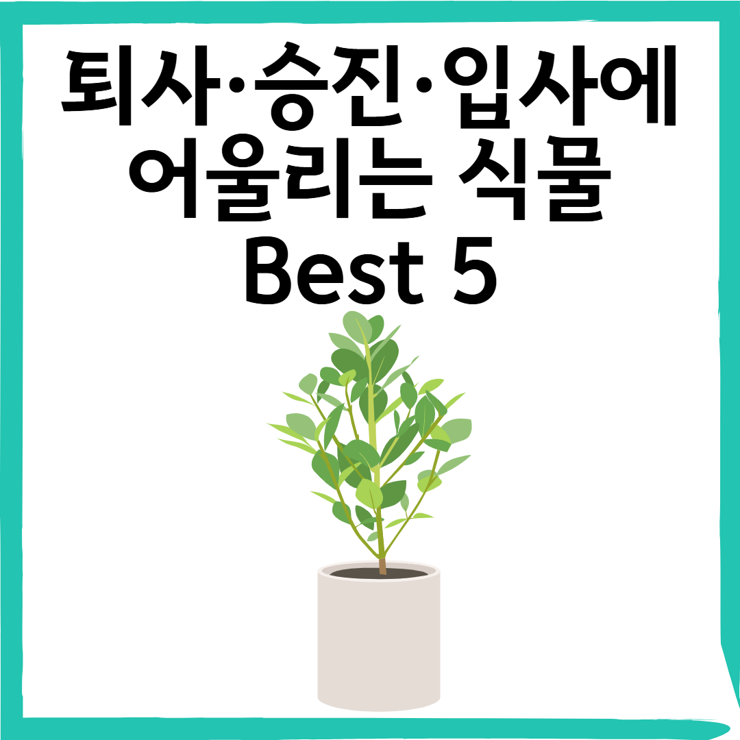 퇴사&middot;승진&middot;입사 선물로 센스 만점! 의미 있는 식물 추천 Best 5 &amp; 꽃말 정리