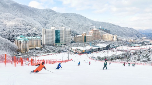 소노벨_비발디파크_스키장