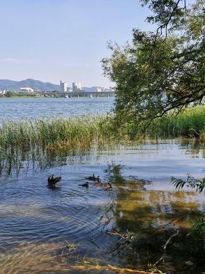 물의 정원 산책로