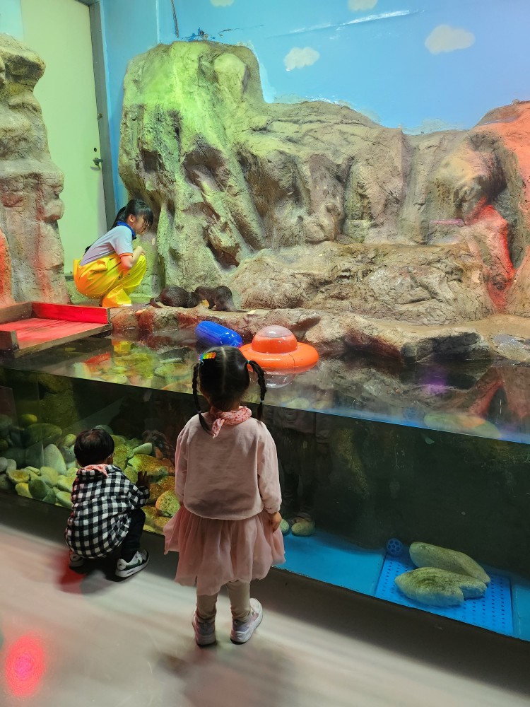 수달을 구경하는 아이들