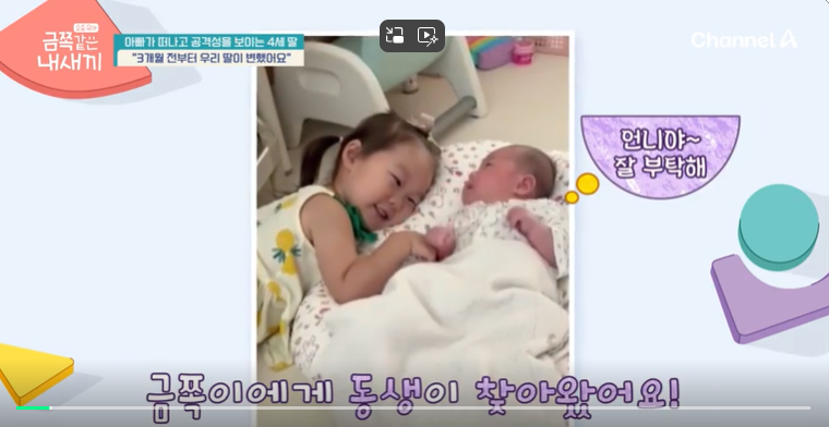 금쪽같은-내새끼-201회