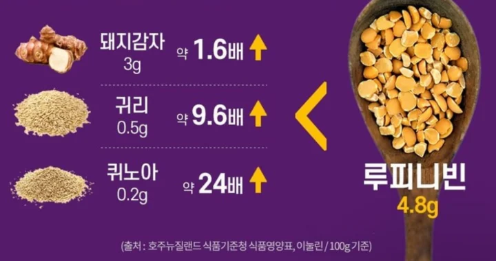 루핀-이눌린-함량-비교