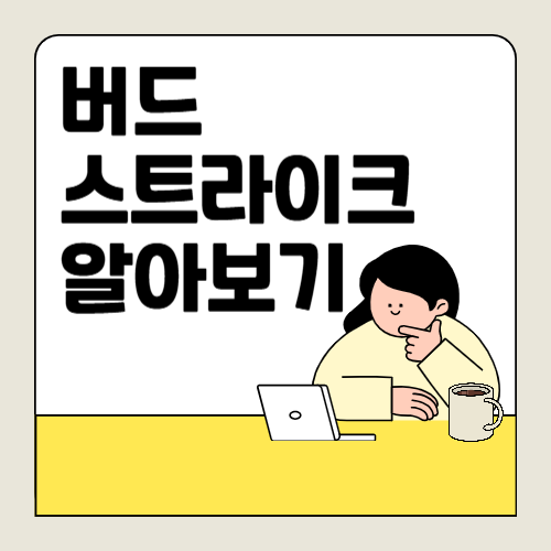 버드 스트라이크란? 항공기 사고 요인 알아보기