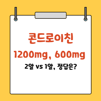 콘드로이친 1200mg,600mg
