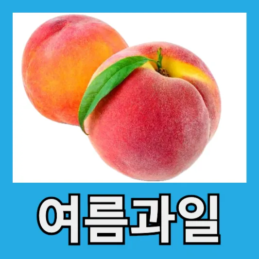 "복숭아의 놀라운 효능"