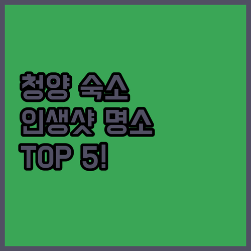청양 숙소 추천 TOP 5 글램핑 호..