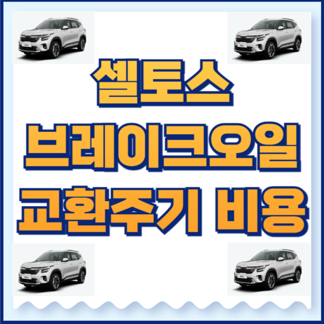 셀토스 브레이크오일