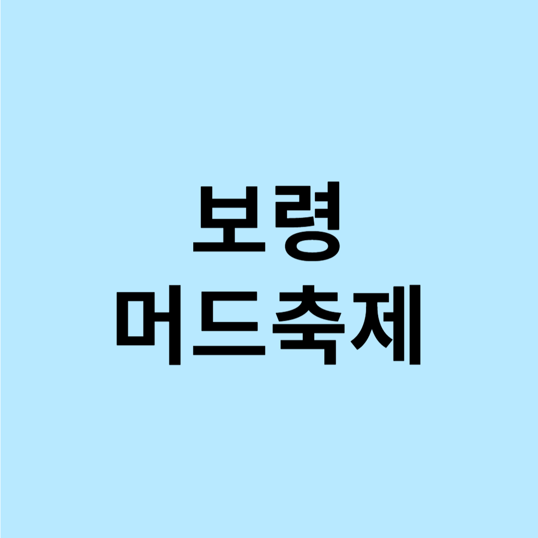 보령머드축제 준비물