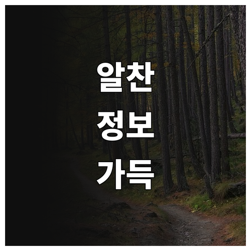 쉽게 발급 2025 강릉사랑상품권 1..