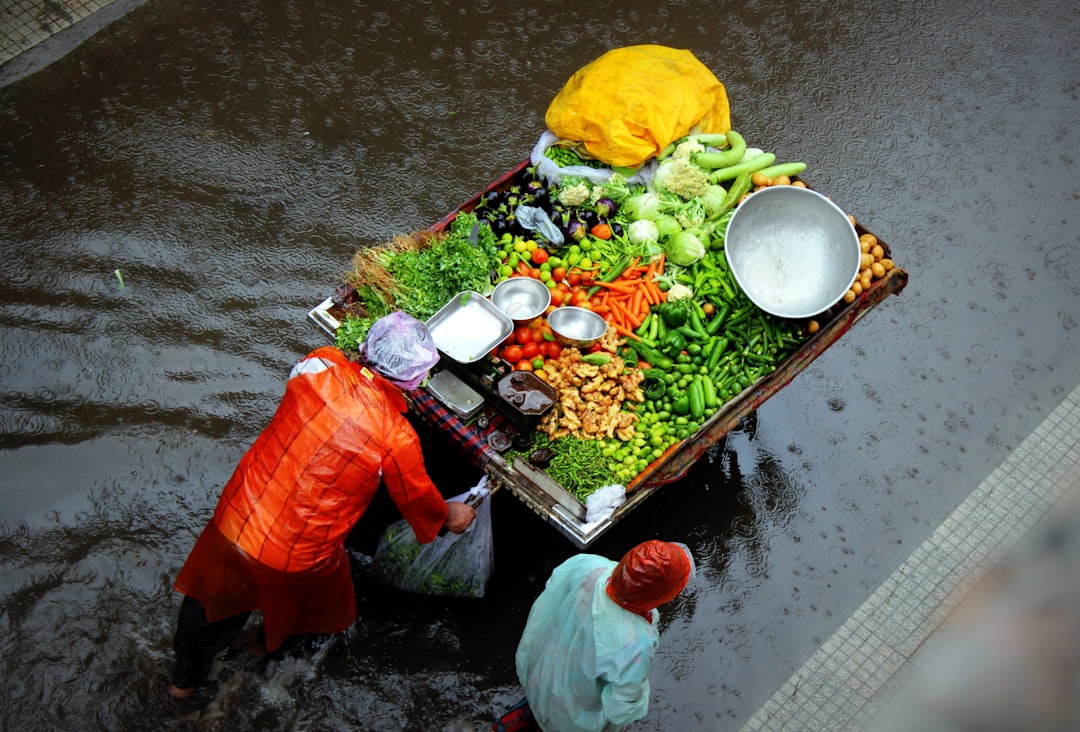 Food waste processor