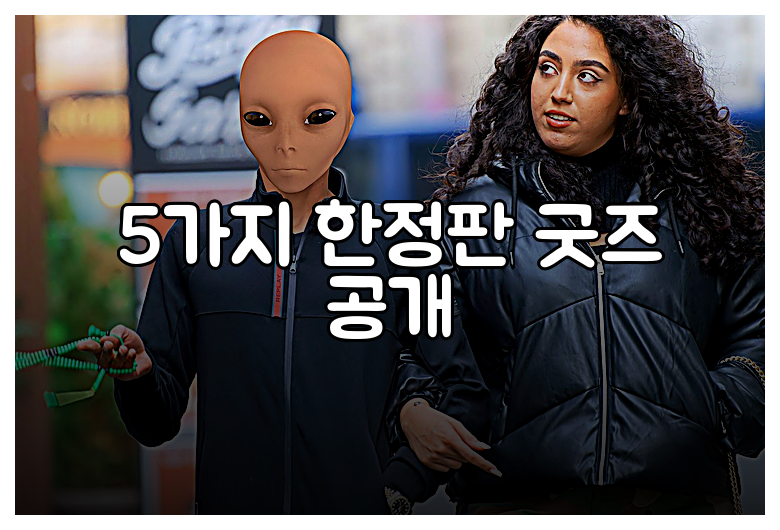5가지 한정판 굿즈 공개