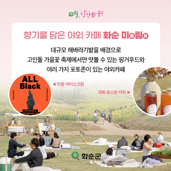2024 화순 고인돌 가을꽃 축제